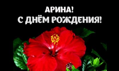 40 красивых и прикольных поздравлений с Днём рождения Арине
